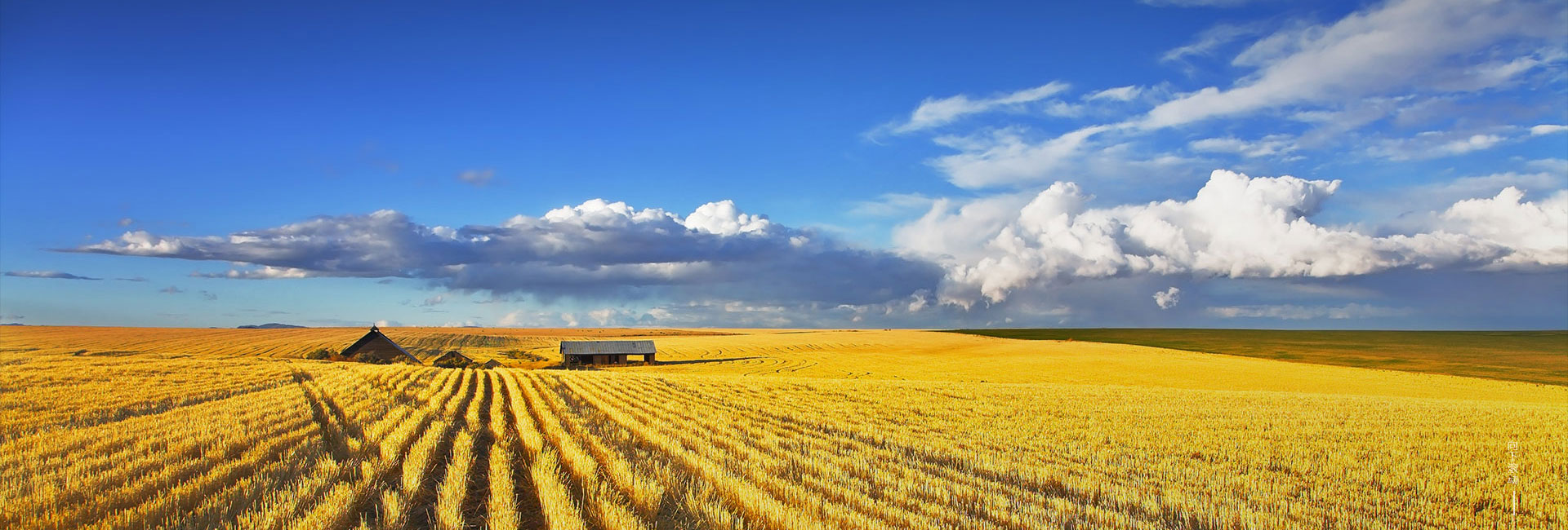EVO真人(中国)官方网站