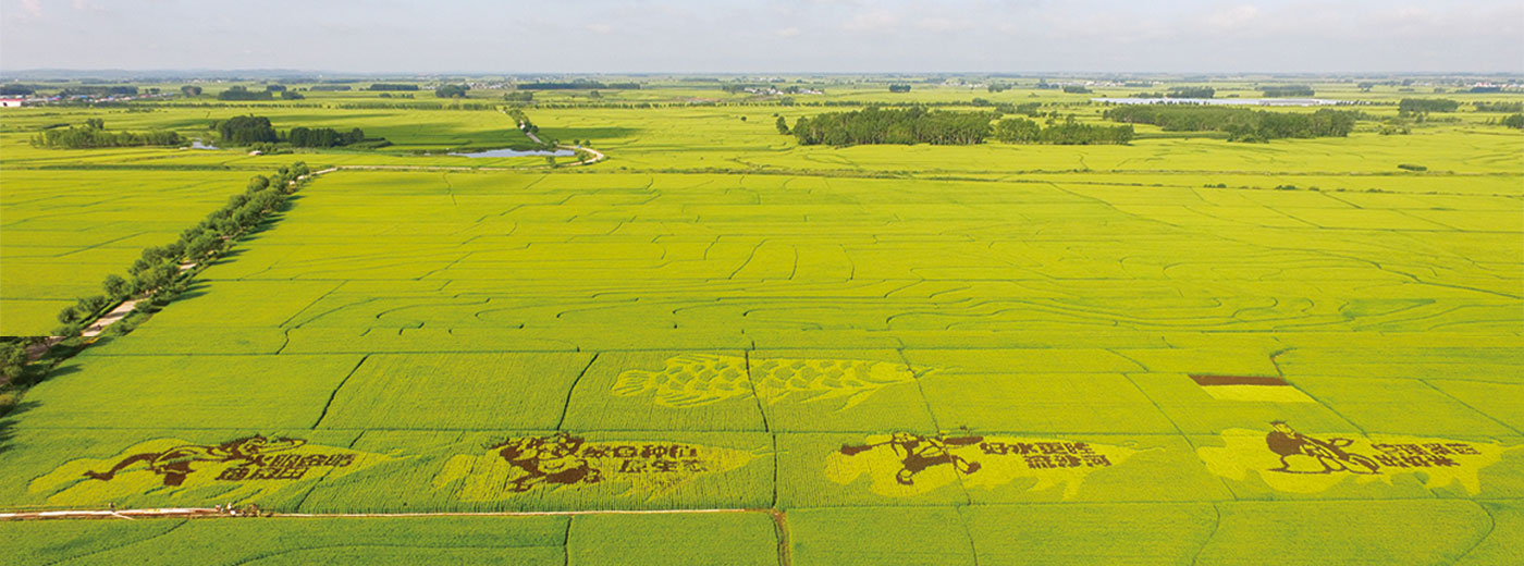 EVO真人(中国)官方网站
