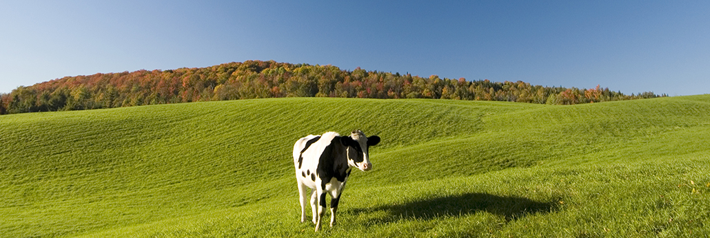 EVO真人(中国)官方网站