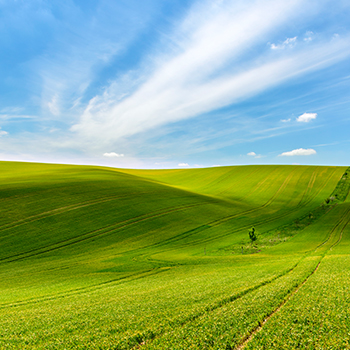 EVO真人(中国)官方网站