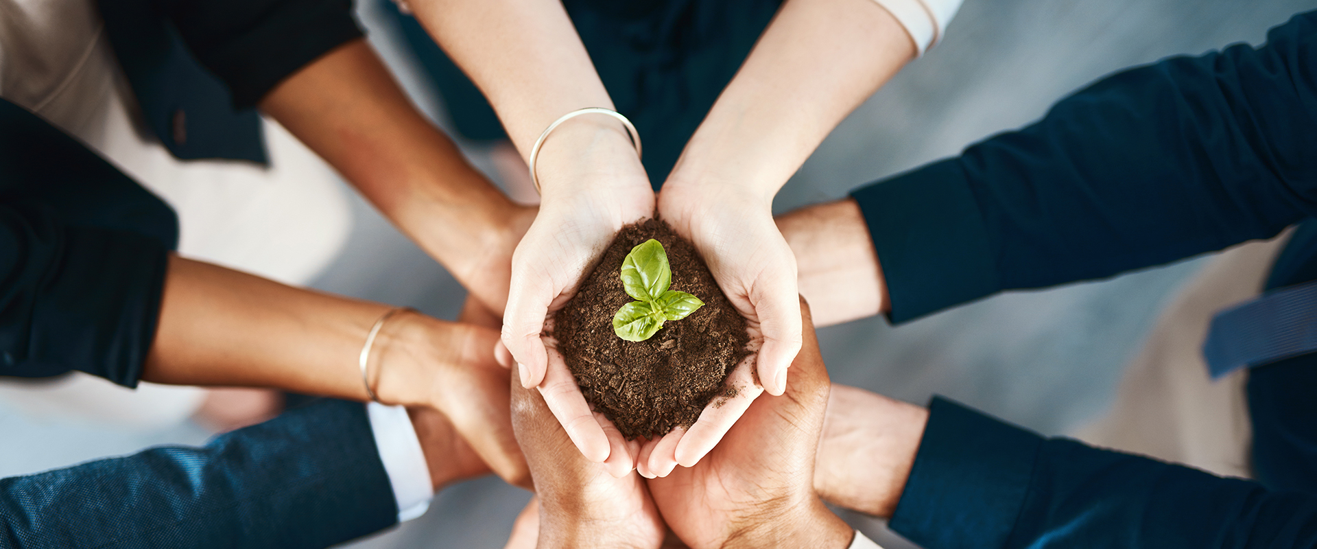 EVO真人(中国)官方网站