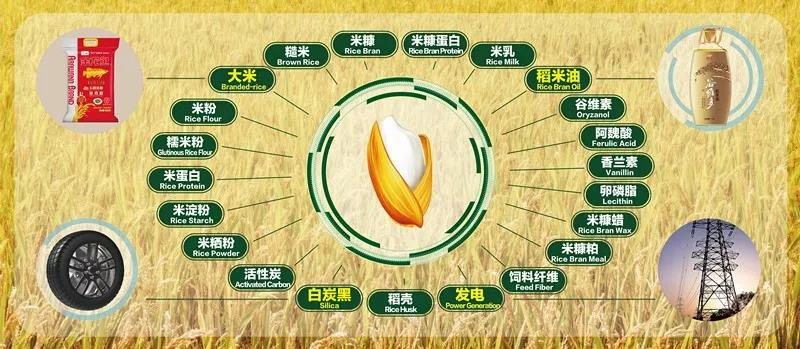 0525深度3-循环经济